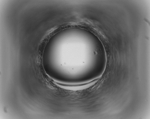 X0000096421207200801241310