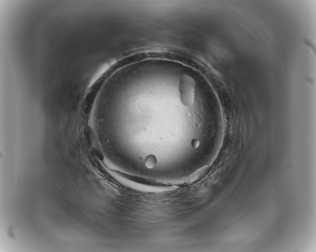 X0000096421208200801241310