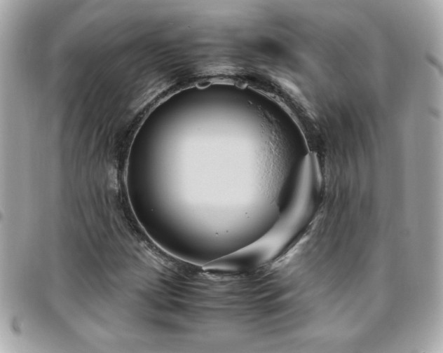 X0000096421209200801241310