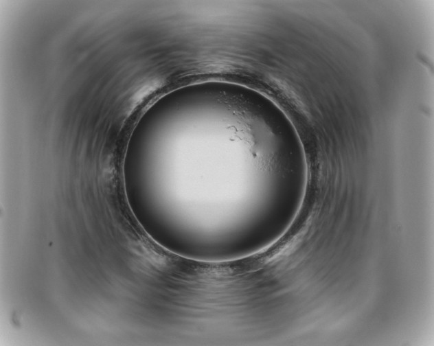 X0000096421210200801241310