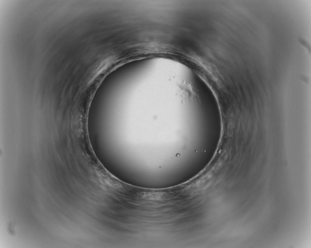 X0000096421211200801241310