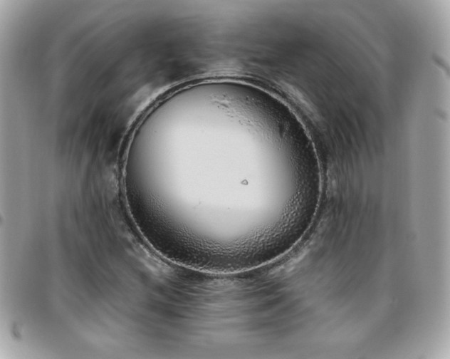 X0000096421212200801241310