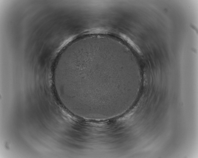 X0000096421213200801241310