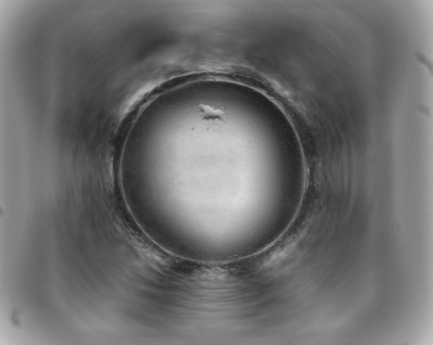 X0000096421214200801241310