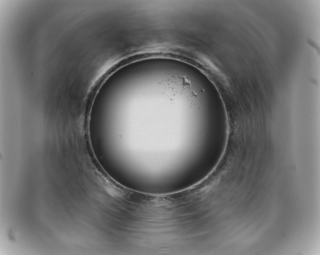 X0000096421216200801241310