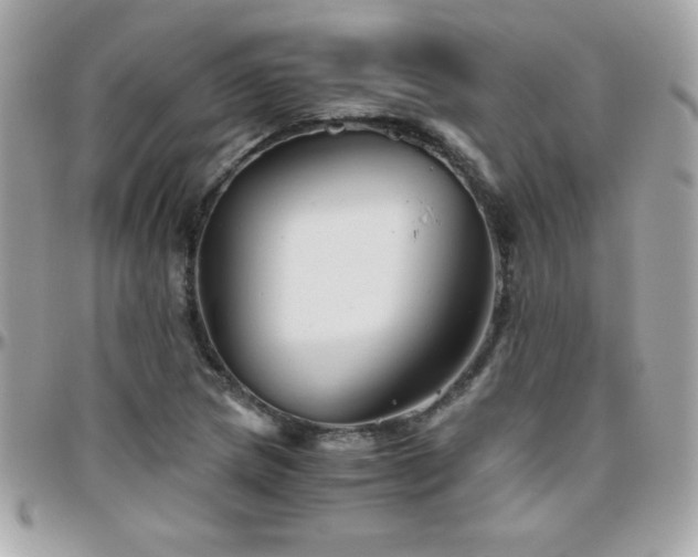 X0000096421217200801241310