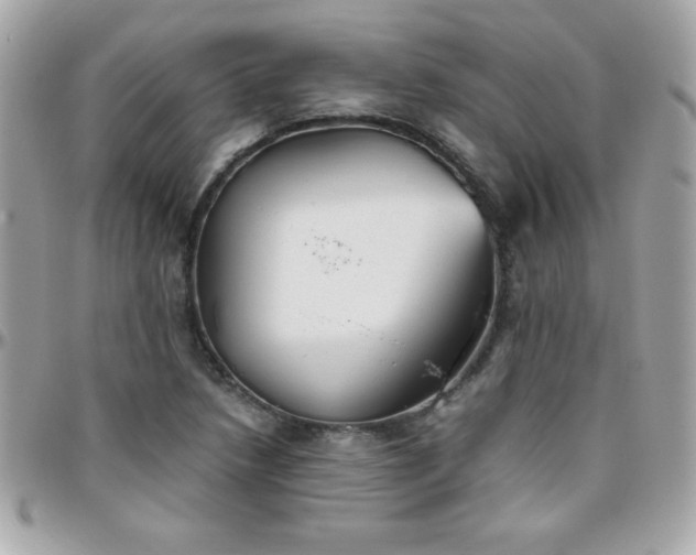 X0000096421218200801241310