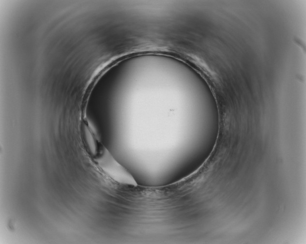 X0000096421220200801241310