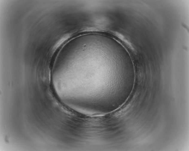 X0000096421221200801241310