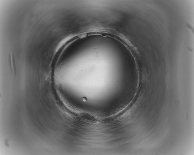 X0000096421222200801241310