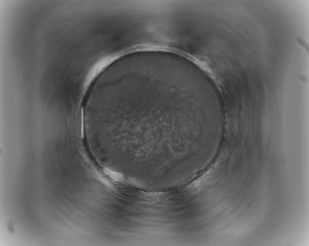 X0000096421223200801241310