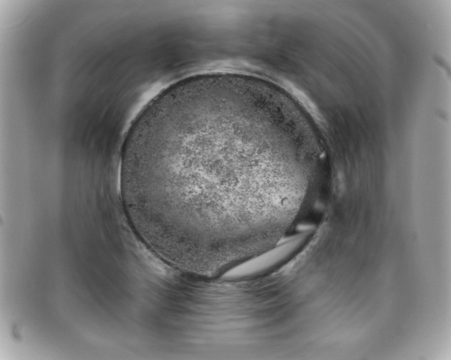 X0000096421224200801241310