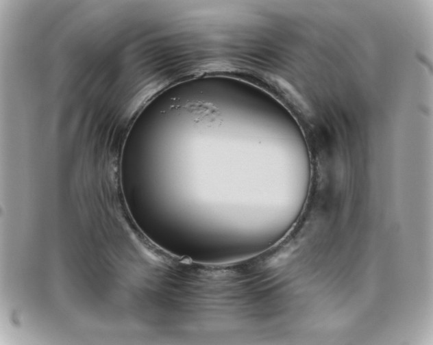 X0000096421225200801241310
