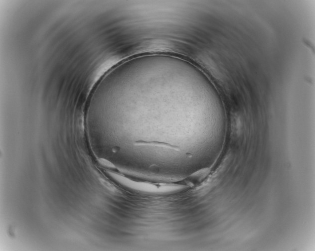 X0000096421226200801241310