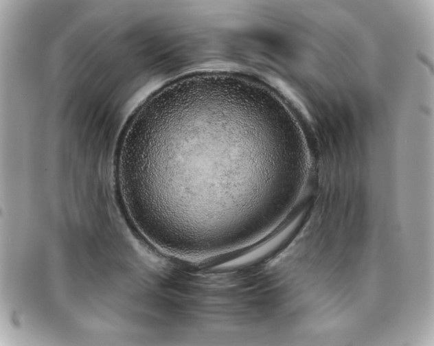 X0000096421229200801241310