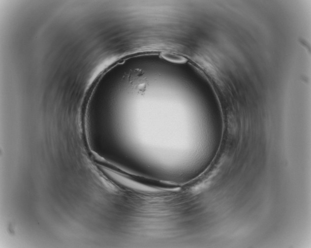 X0000096421230200801241310