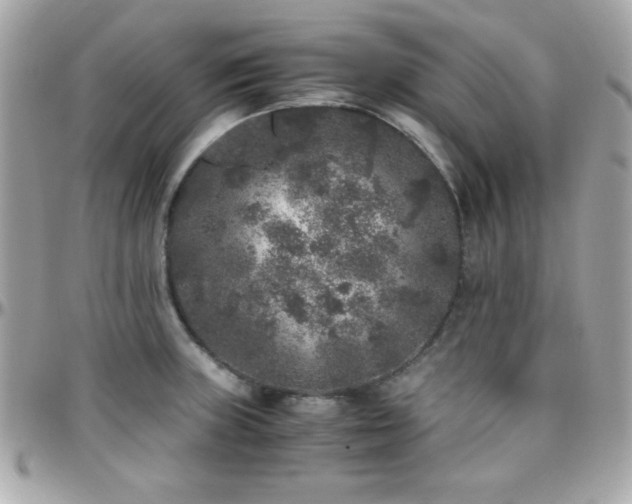 X0000096421235200801241310