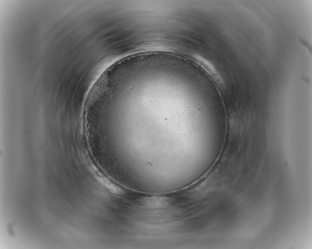 X0000096421236200801241310