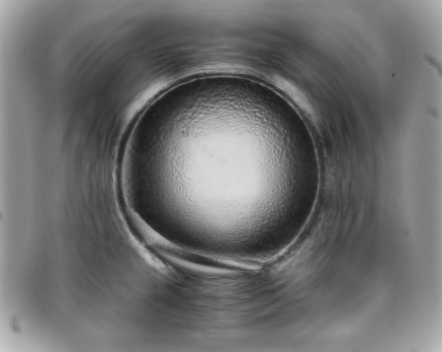 X0000096421237200801241310
