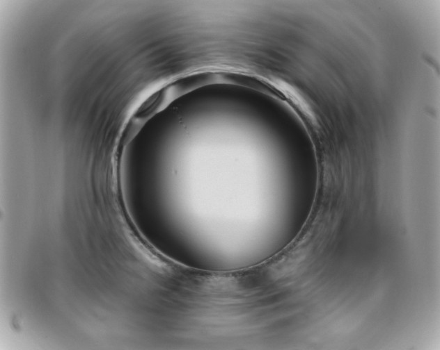 X0000096421238200801241310