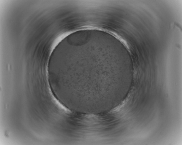 X0000096421239200801241310