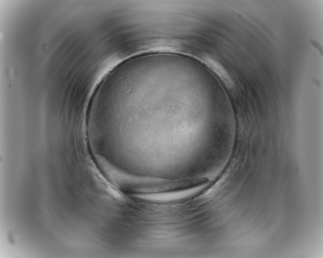 X0000096421240200801241310