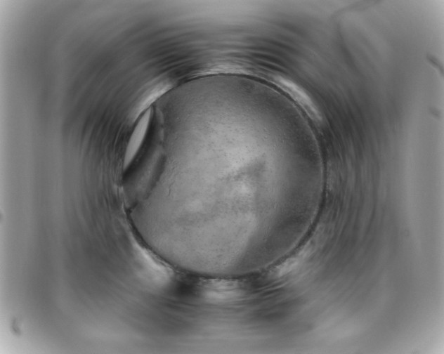 X0000096421241200801241310