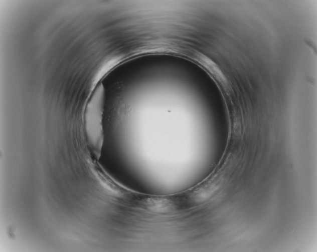 X0000096421242200801241310
