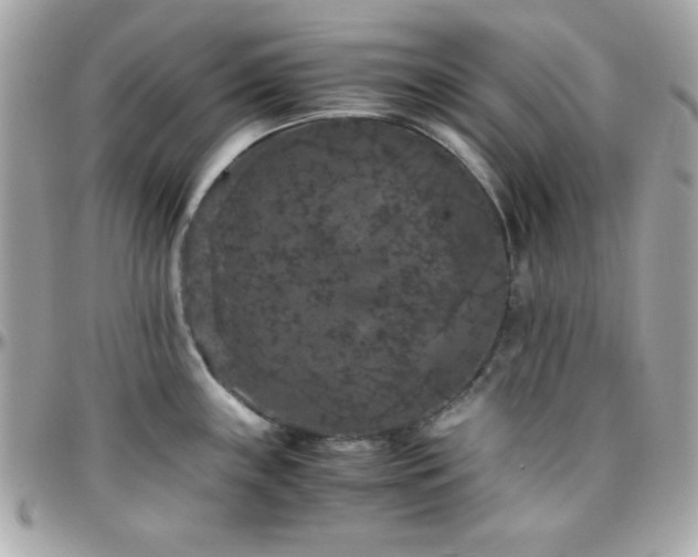 X0000096421243200801241310