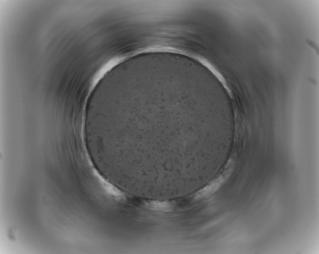 X0000096421245200801241310