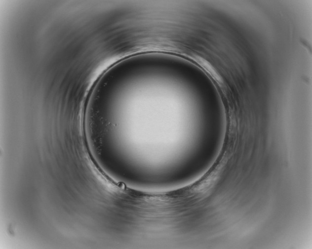 X0000096421246200801241310