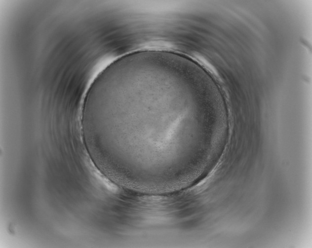 X0000096421248200801241310
