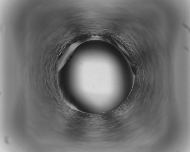 X0000096421249200801241310