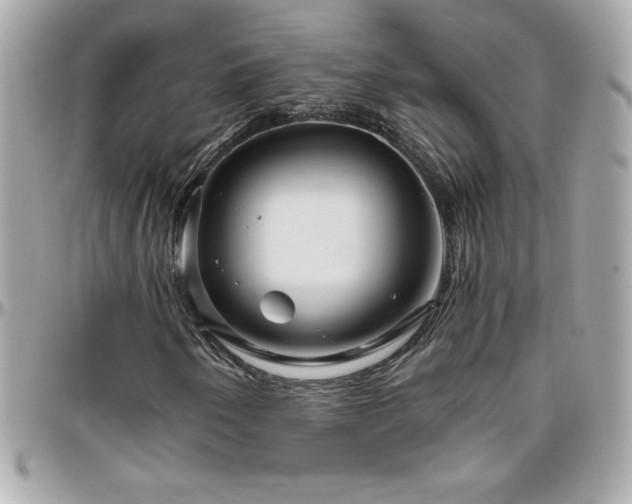 X0000096421250200801241310