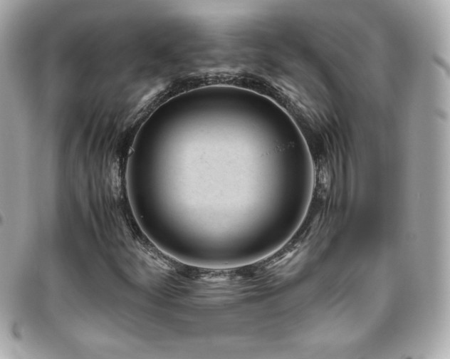 X0000096421252200801241309