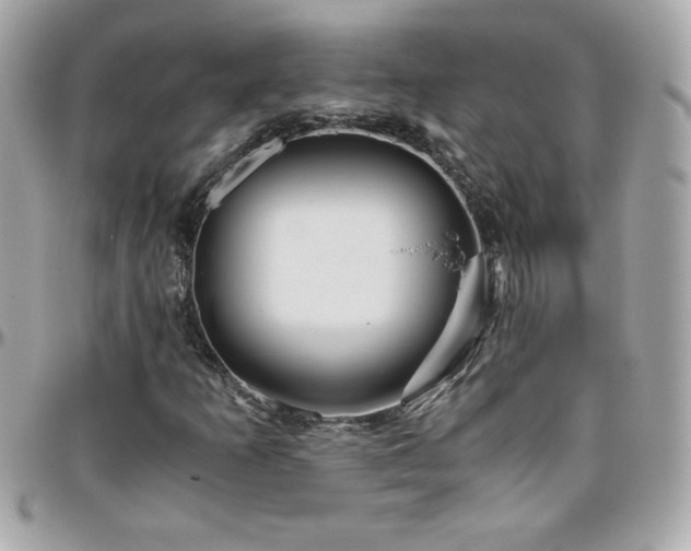 X0000096421253200801241309