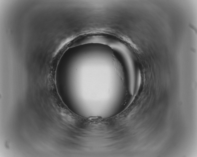 X0000096421256200801241309