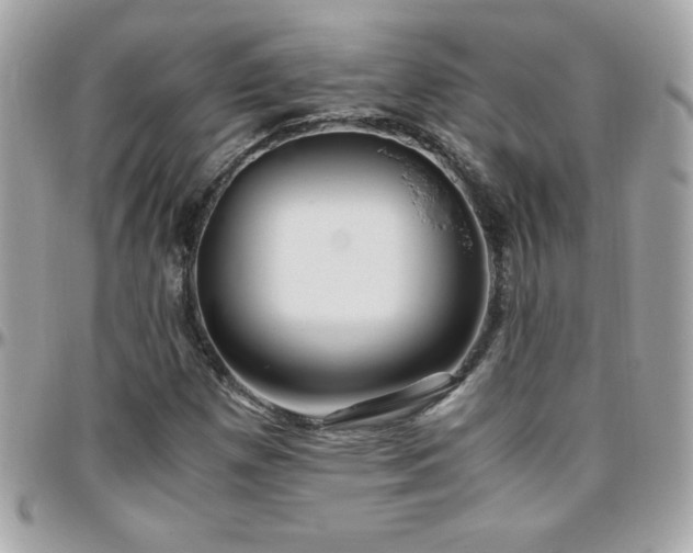 X0000096421257200801241309