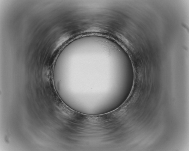 X0000096421258200801241309