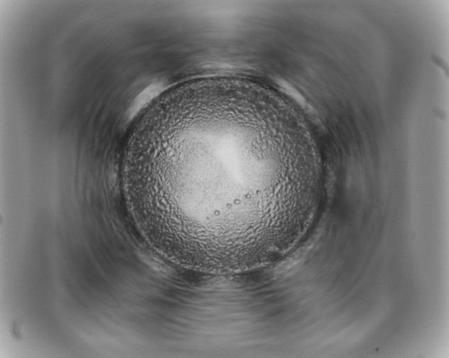 X0000096421259200801241309