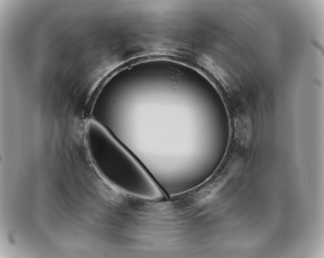 X0000096421260200801241309