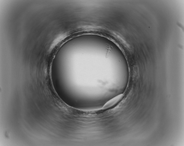 X0000096421261200801241309