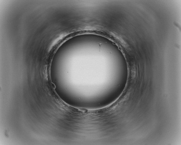 X0000096421262200801241309