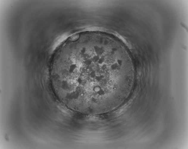 X0000096421263200801241309