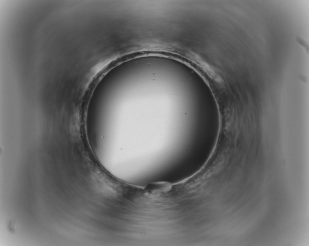 X0000096421264200801241309