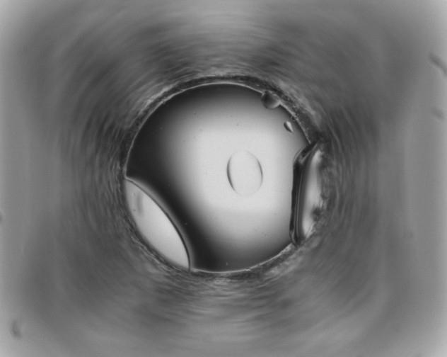 X0000096421265200801241309