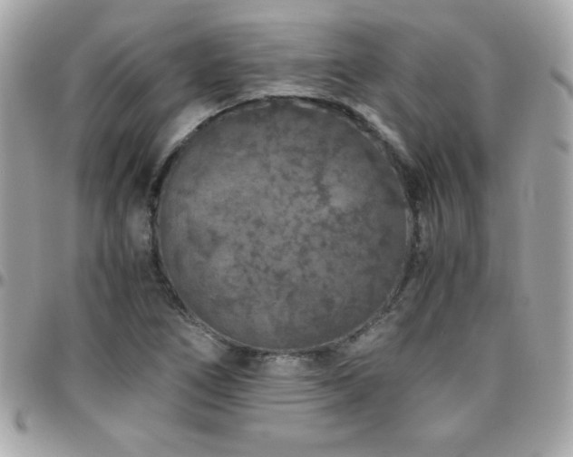 X0000096421266200801241309