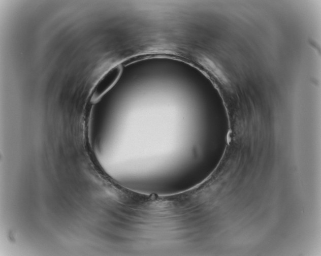 X0000096421268200801241309