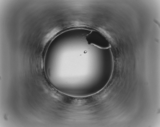 X0000096421269200801241309