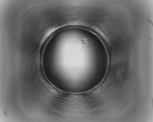 X0000096421270200801241309